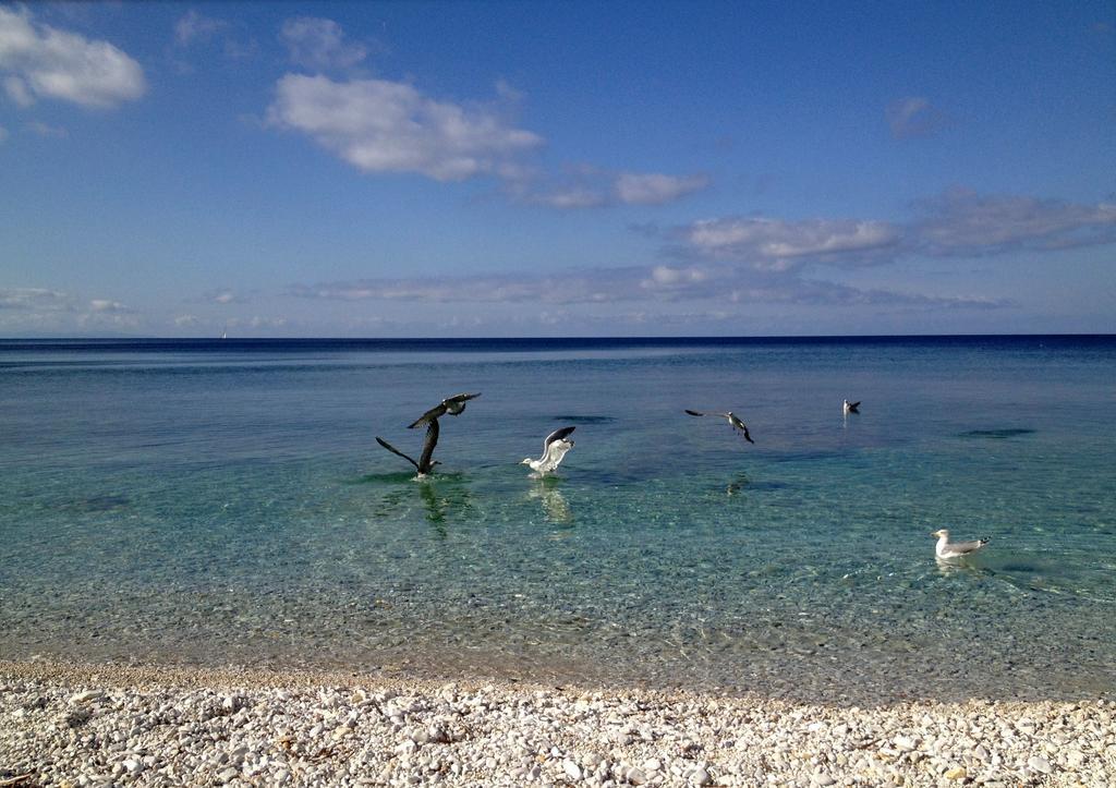 Appartamento Ponticello By Helloelba Portoferraio Exteriör bild